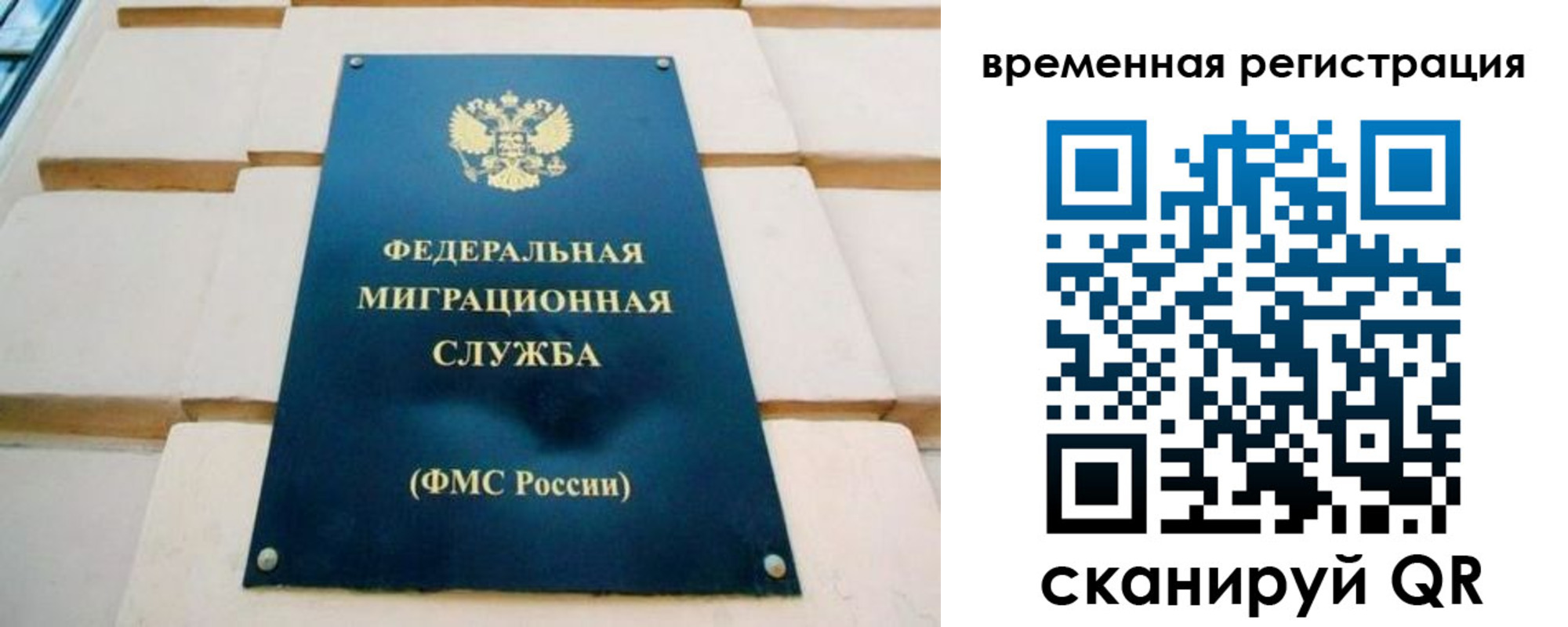 прописка гарантия в Балаково